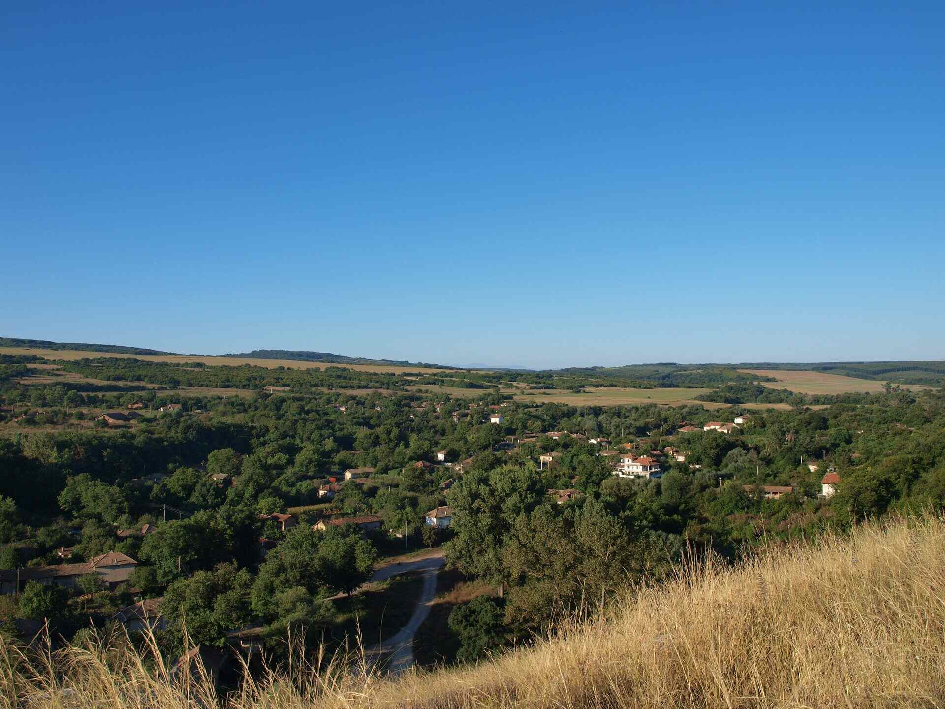 Емен