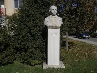 Паметник на Камен Тошев - Берковица — Берковица