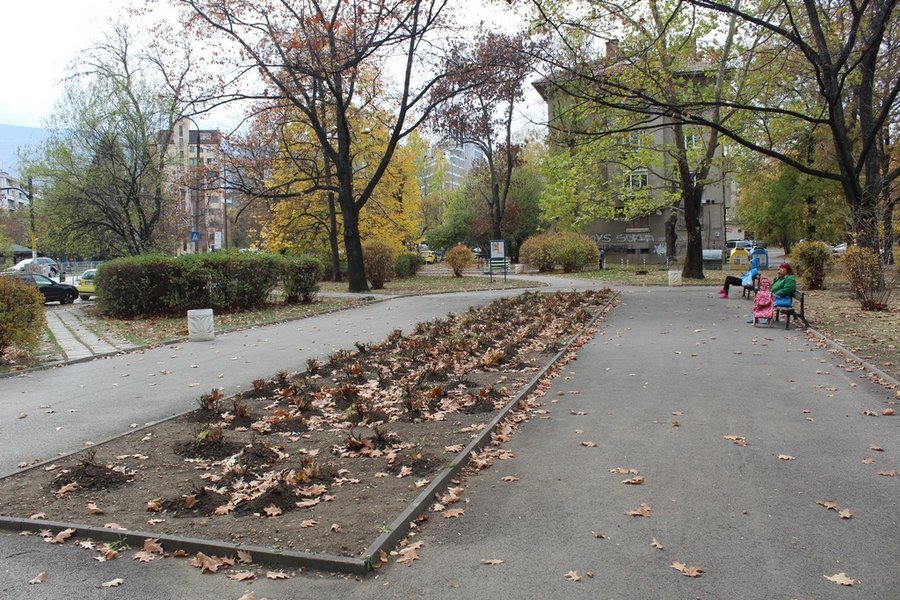 Градска градина в квартал "Славия" - София