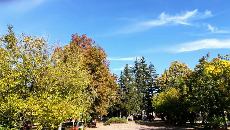 Парк - с. Крушовица