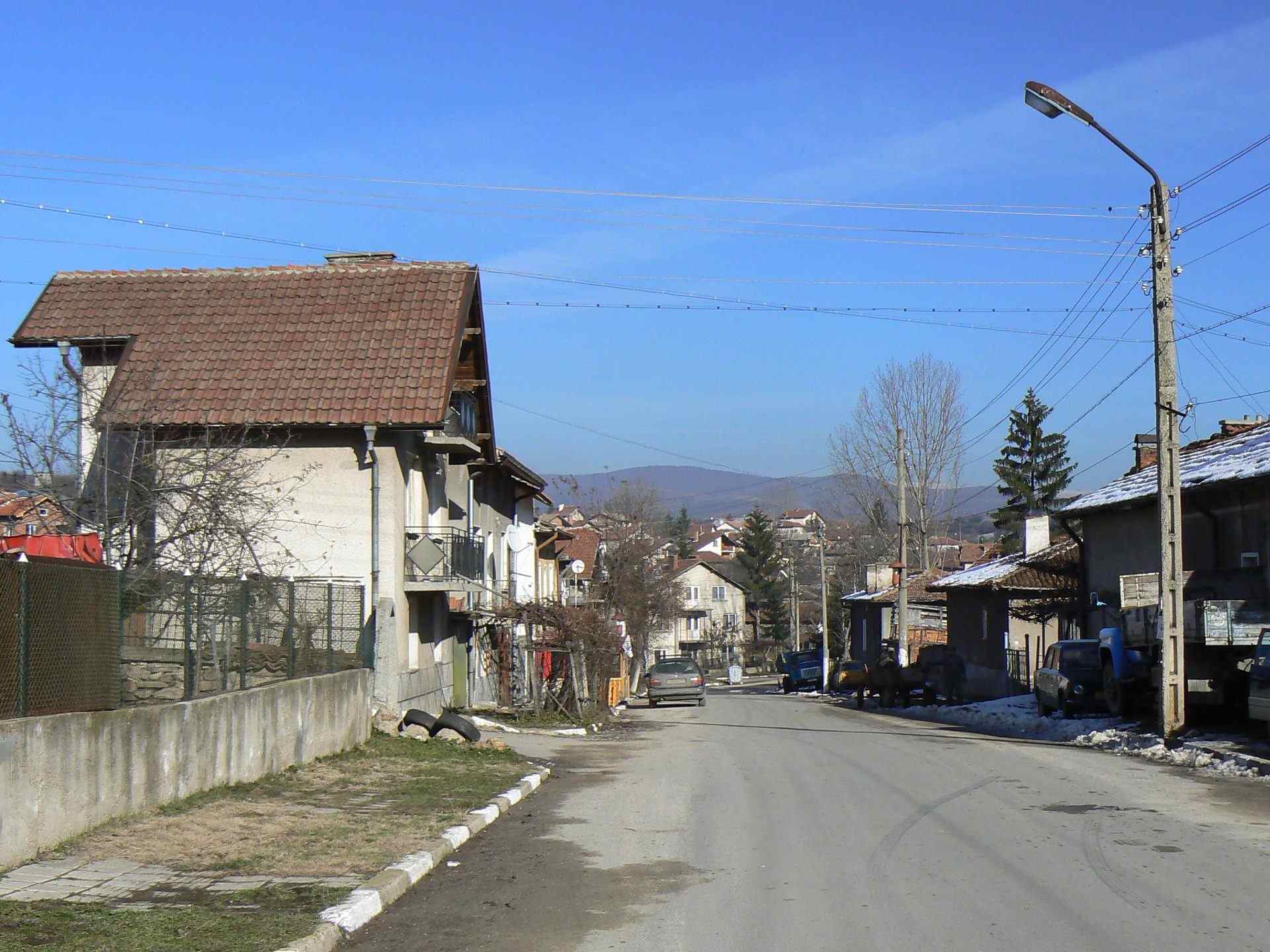 Голема Раковица