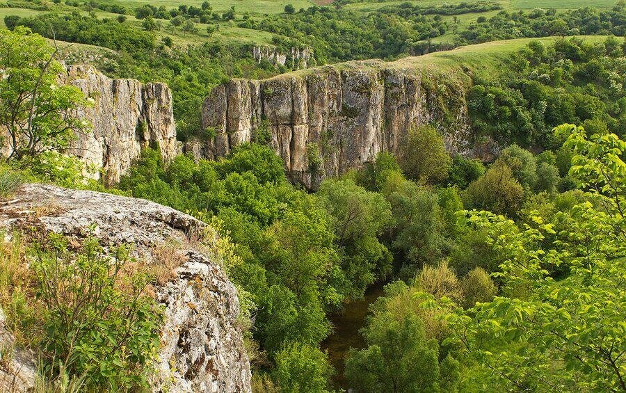 Каньонът на река Каменица