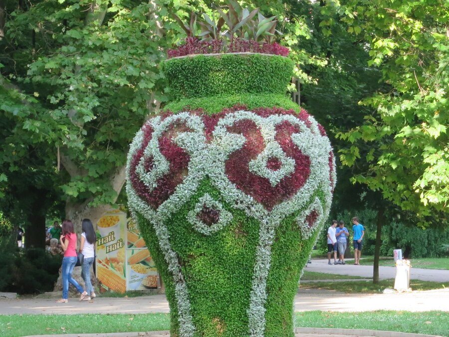 Вазата - Русе
