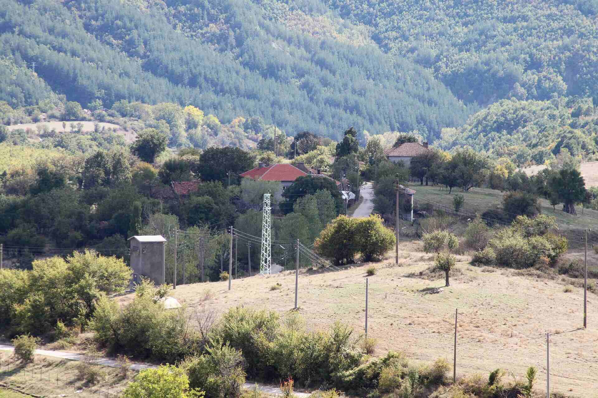 Перуника