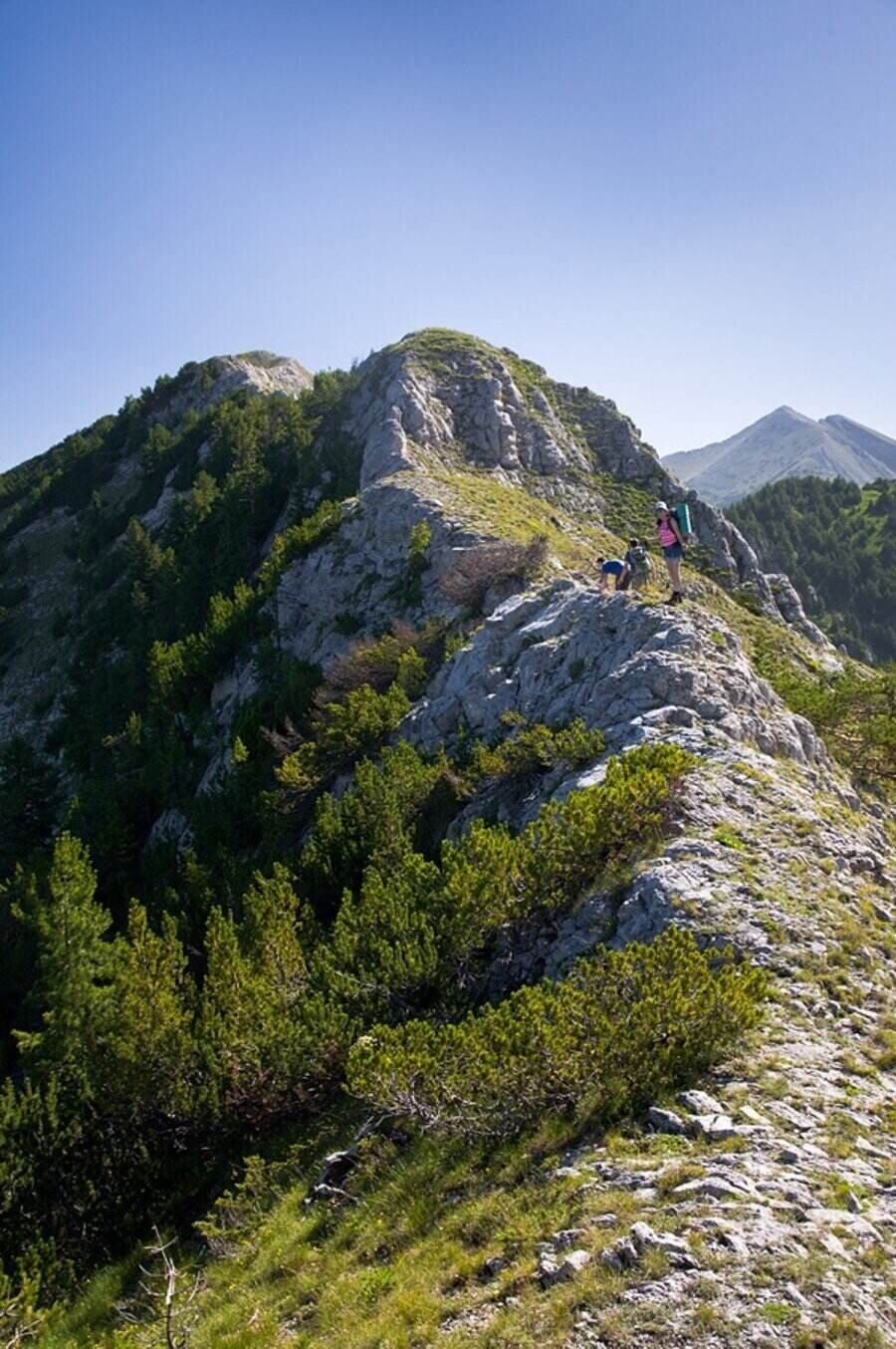 Връх Шарлия - Пирин