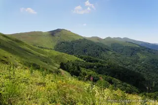 Природен парк "Беласица" — Коларово
