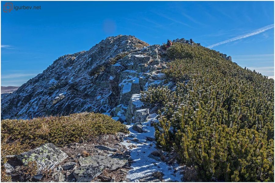 Връх "Суха вапа"