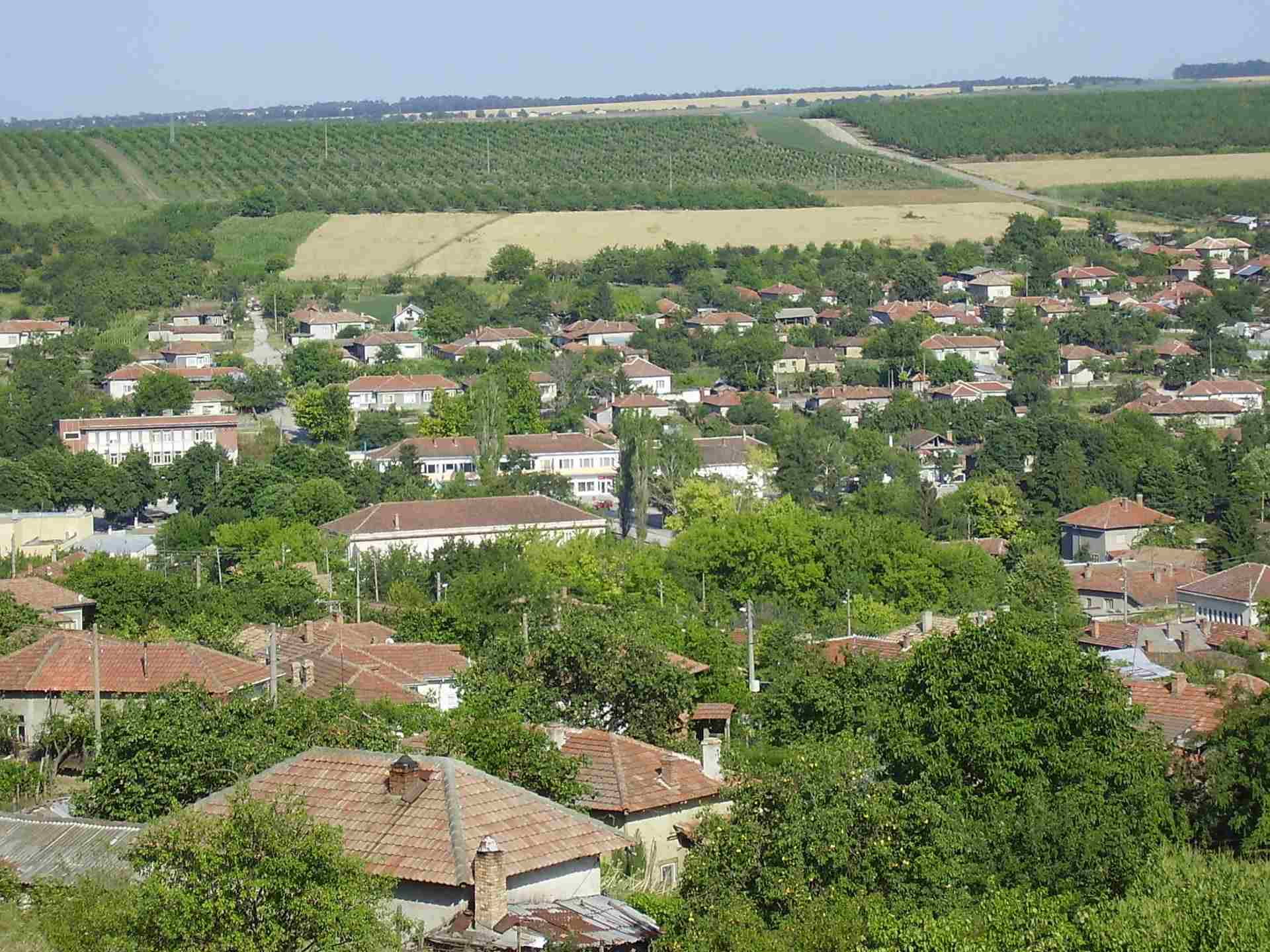 Професор Иширково