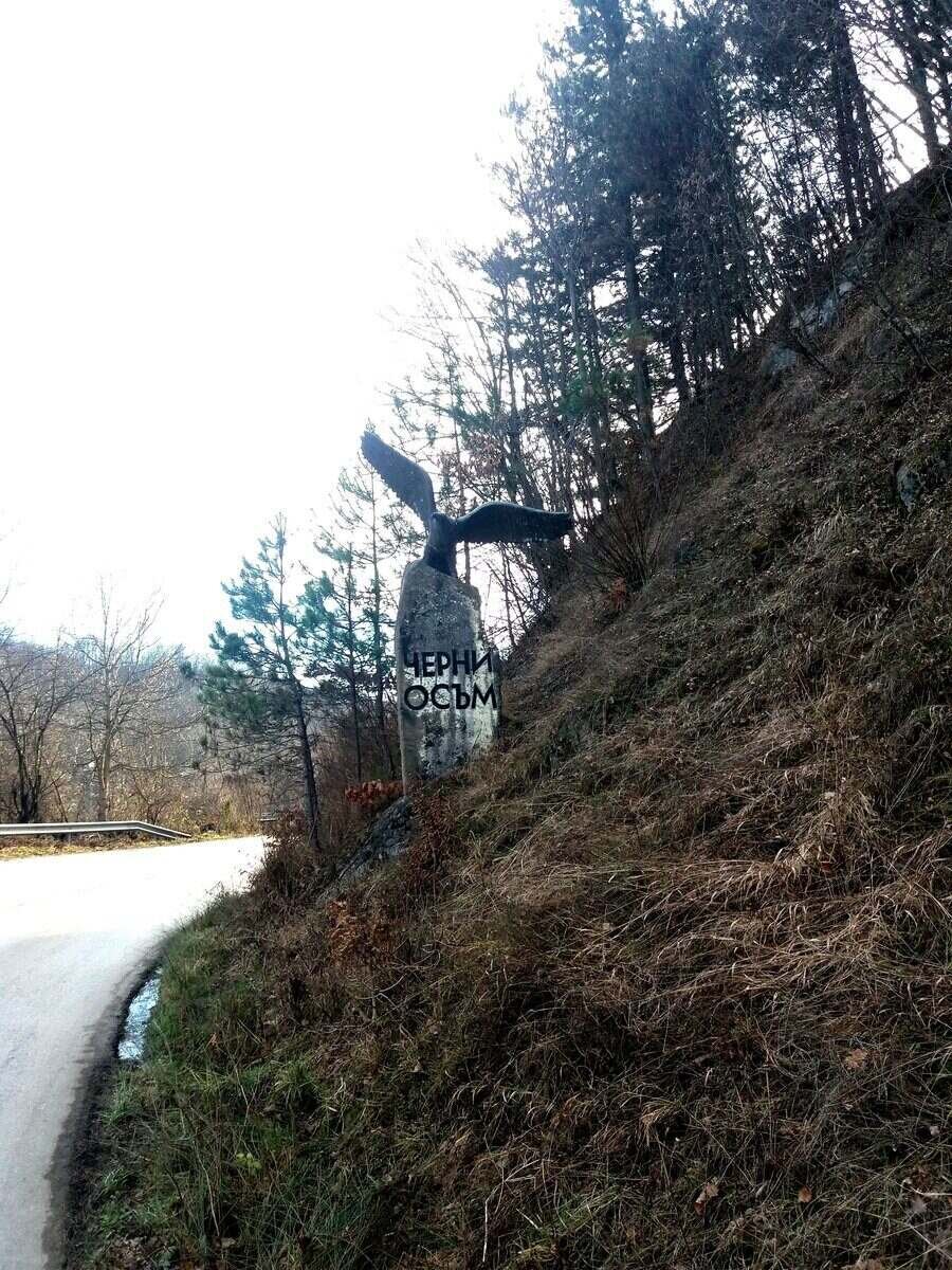 Орелът - символът на с.Черни осъм