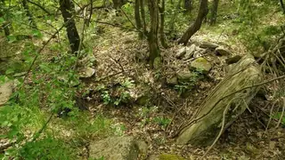 Долмени - Черничево — Черничево