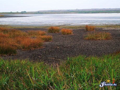 Езеро "Шабленска тузла"