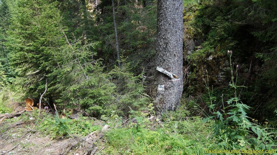 Пещера "Ледницата" - Гела