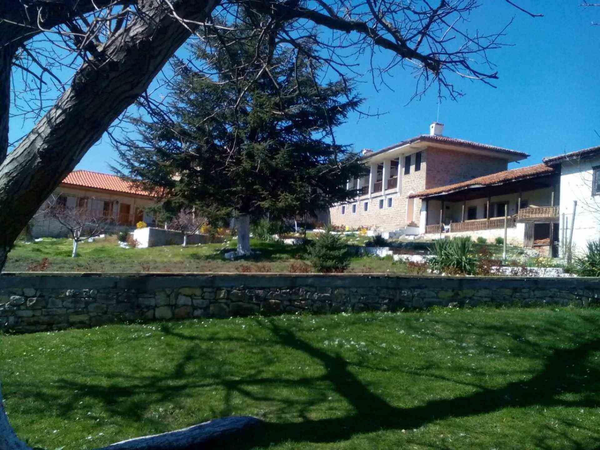 Златна ливада