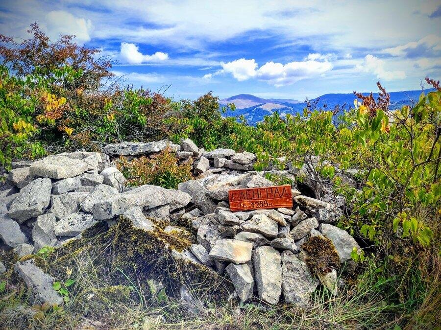 Връх Еленград