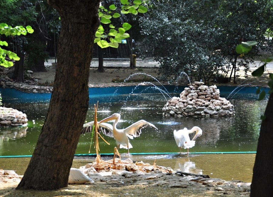 Зоопарк Варна