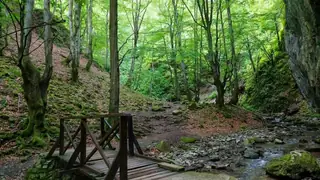 Екопътека "Под пръските на водопада" - Тетевен — Тетевен
