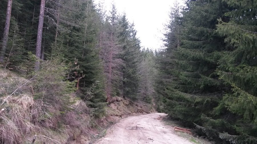 Маршрут връх Гребенец - Девин