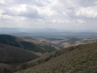 Резерват "Острица" — Радомир