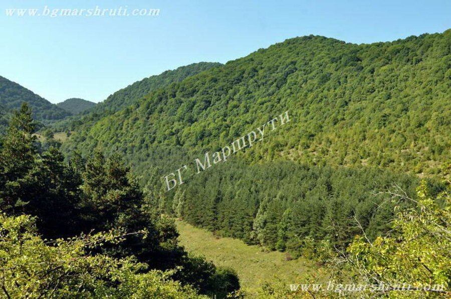 Местност Йолковица