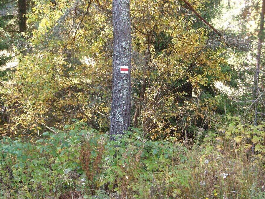 Маршрут Доспат - Защитена местност "Караджа дере" — снимка