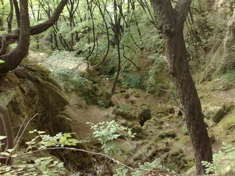 Очно изворче - Нареченски бани