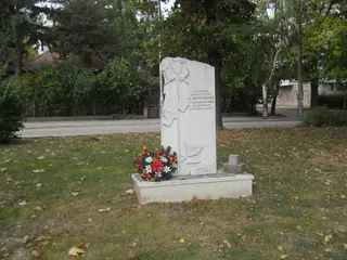 Паметник на Вълчо Вълчев - Видин — Видин