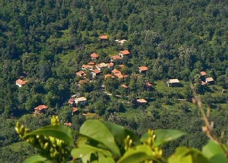 Екопътека "Бъзовец"