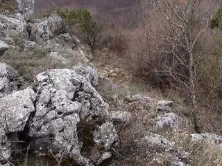 Светилище на връх "Св. Петър" — Долна Секирна