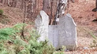 Паметник на лесовъда Йордан Митрев - местност "Ючбунар" — Богослов