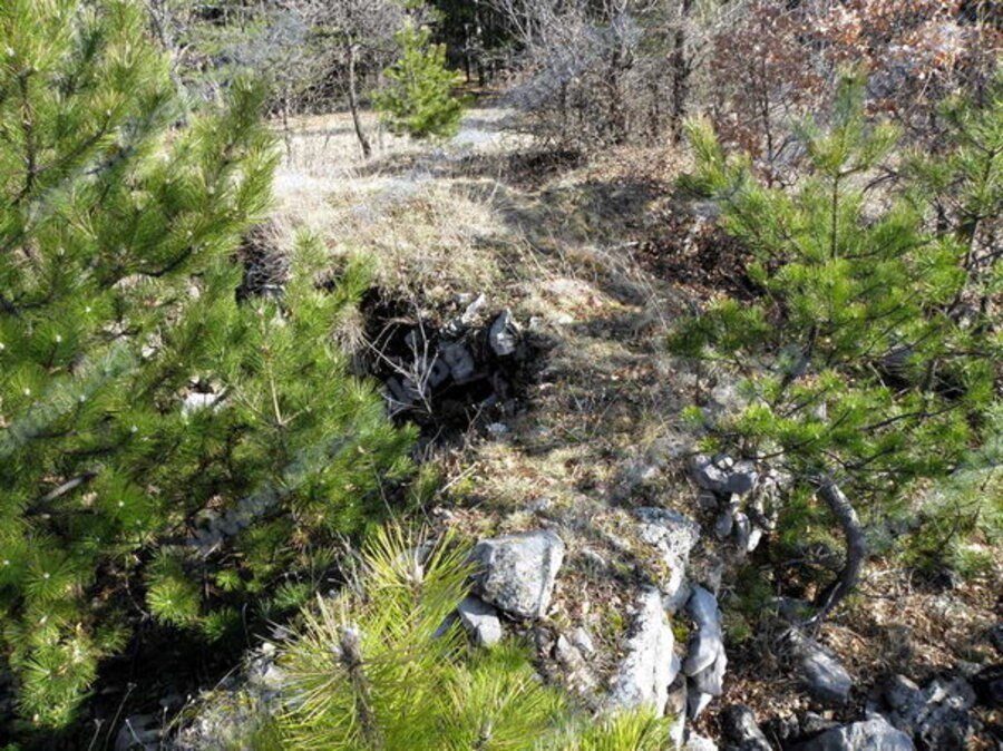 Тракийска крепост "Кръсто" - Боснек