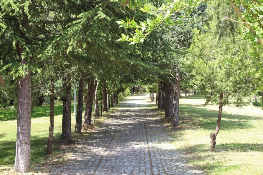 Парк с вековни чинари - Самуилова крепост