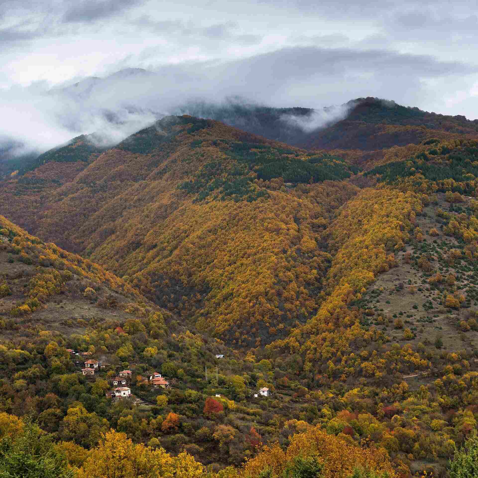 Долени