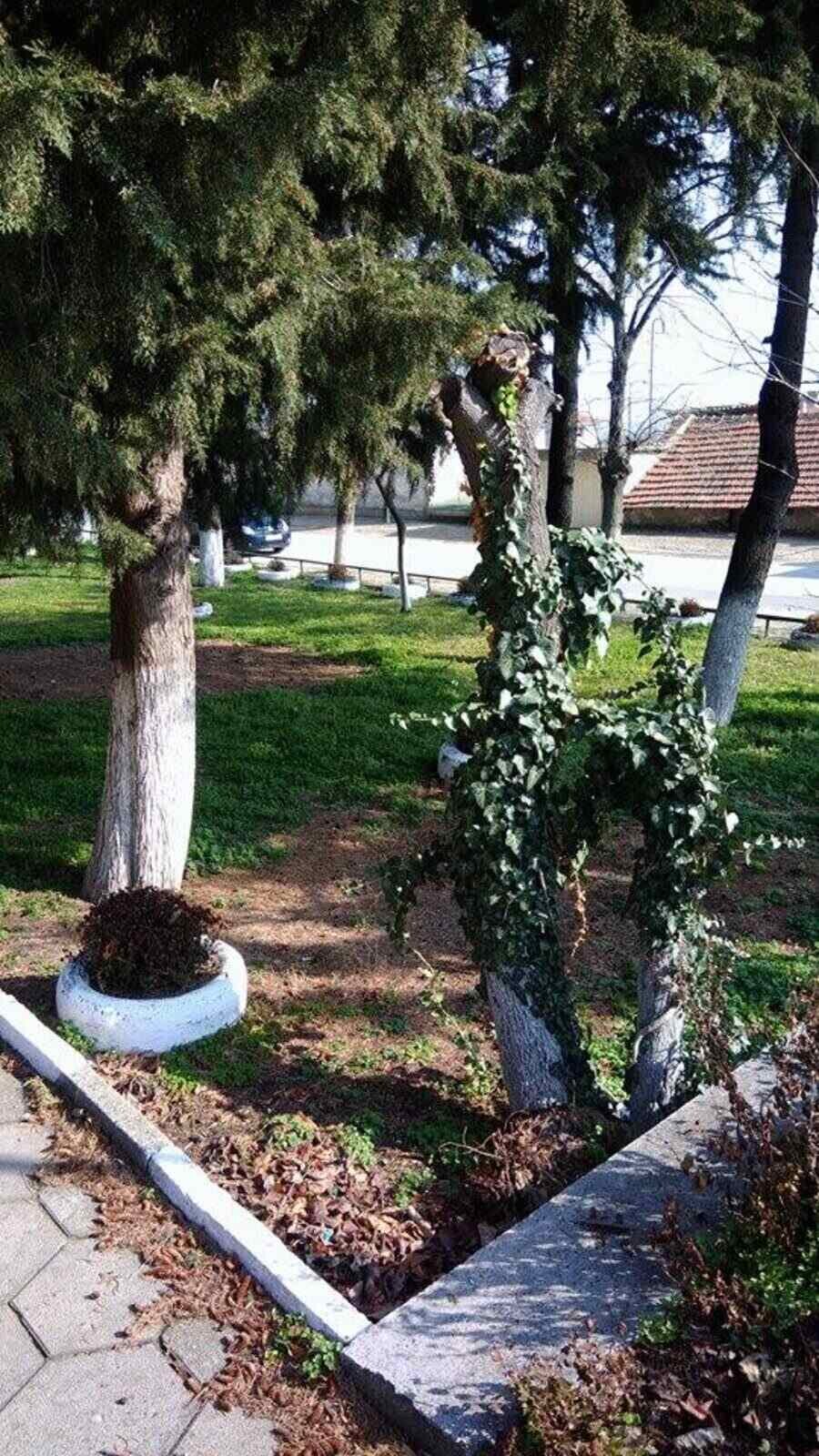 Парк - с.Хрищени