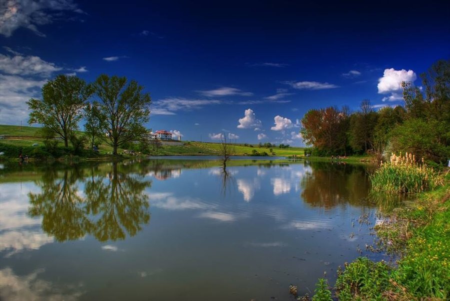 Язовир "Николаевка"