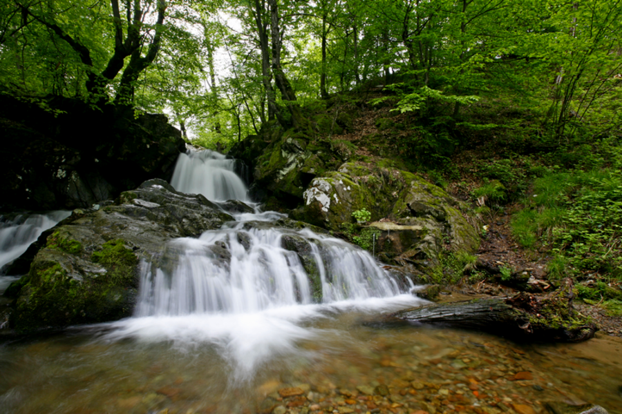 Местност "Водопада" - Вършец