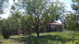 Църква "Св.Николай Чудотворец" - с.Змейово — Змейово