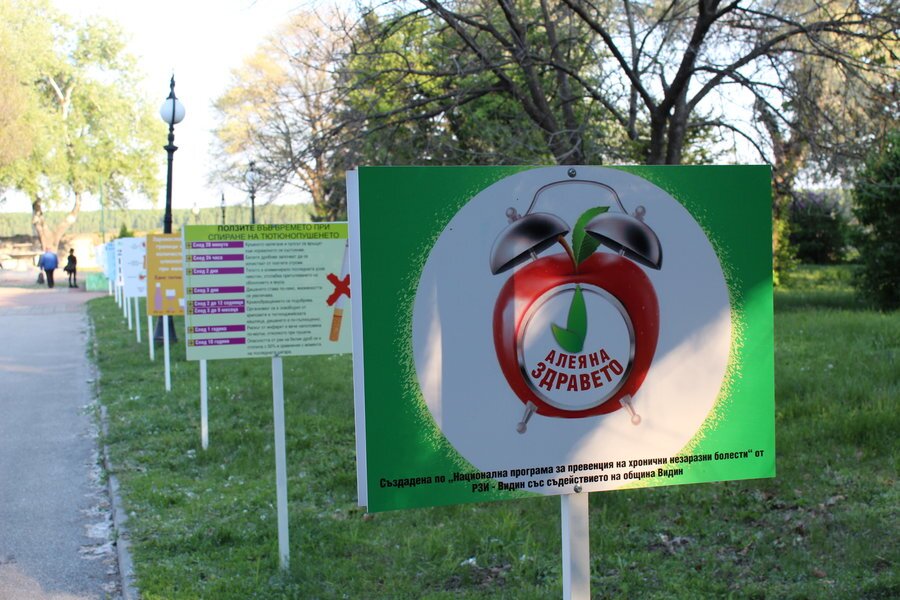 Алея на здравето - Видин