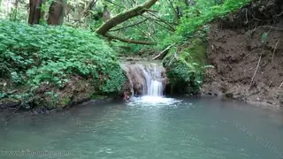 Каленишки водопад — Долни Бошняк