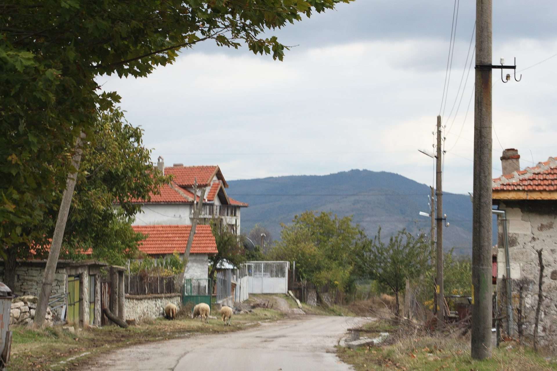 Силен