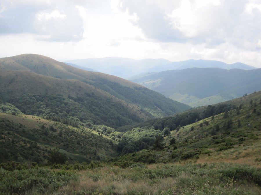 Резерват "Църна река" - Сажденик
