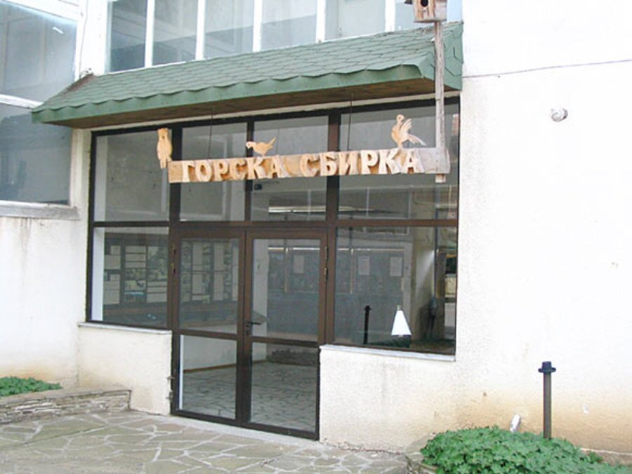 Експозиция "Горска сбирка" - Граматиково