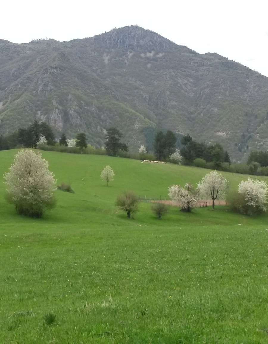 Връх Гребенец - Девин