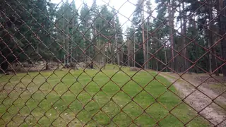 База за интензивно развъждане на дивеч - с. Юндола — Света Петка