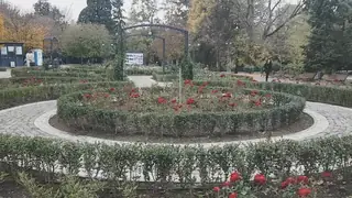 Розариум - Борисова градина — София