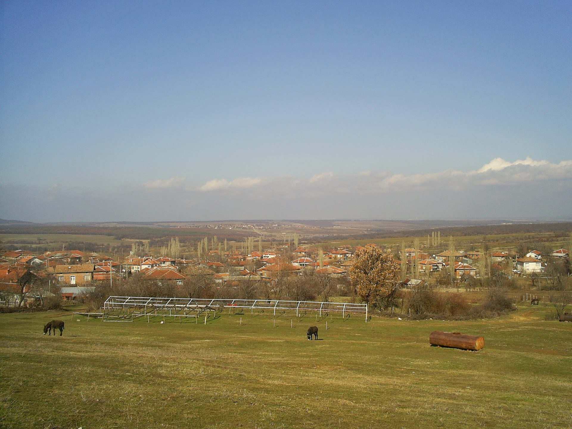 Долно Големанци