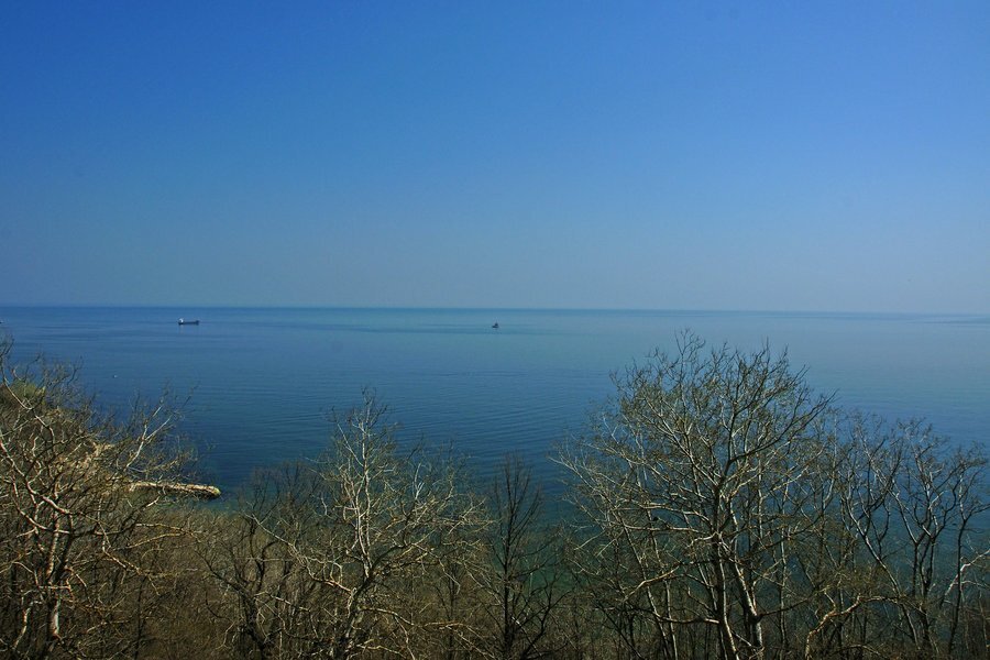 Местност "Ракитника"