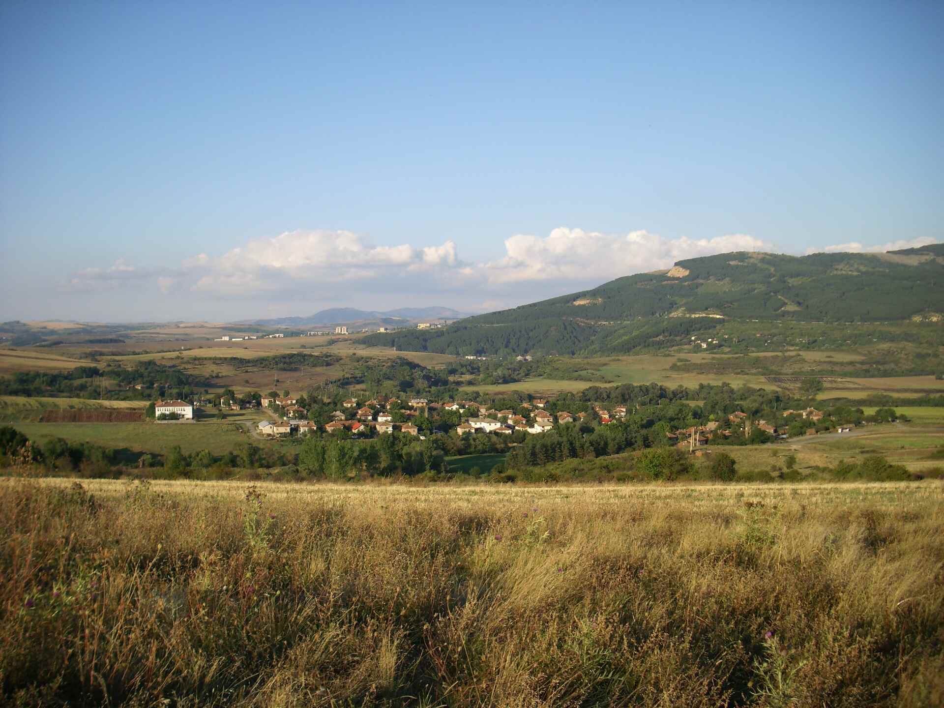Копаница
