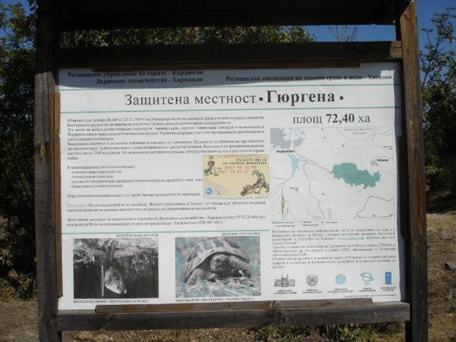 Защитена местност "Гюргена"