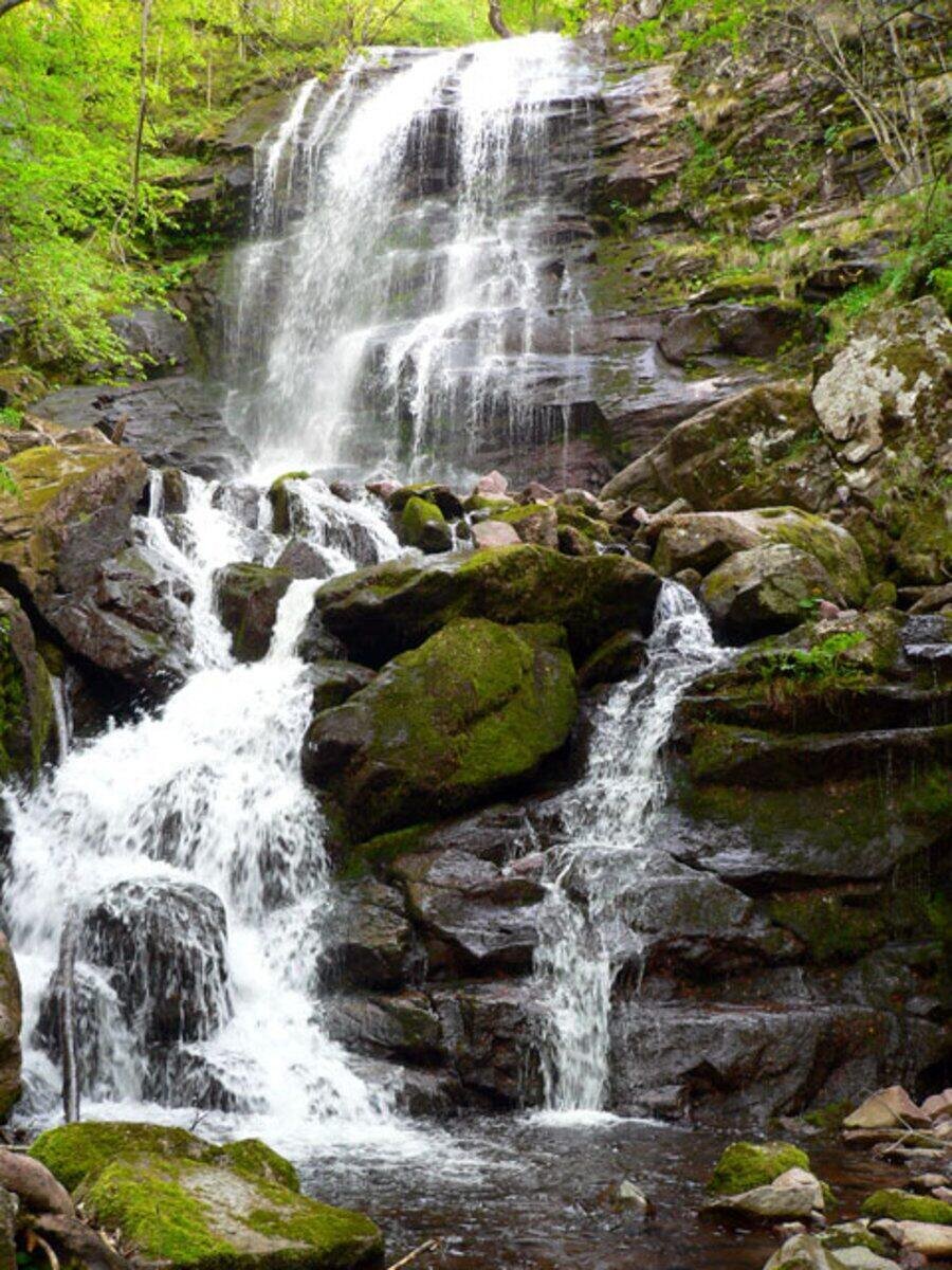 Чипровски водопад и екопътека "Деяница" - Чипровци