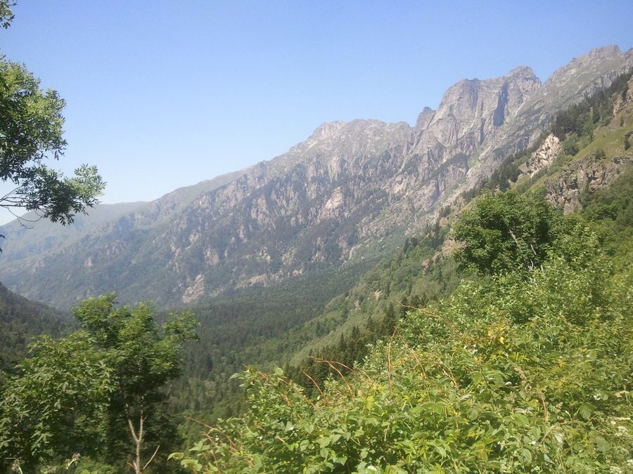 Резерват "Кирилова поляна" — снимка